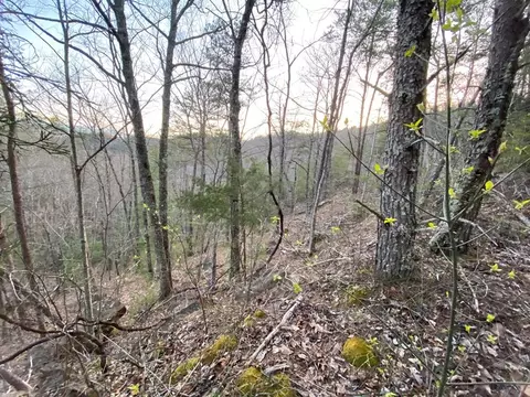 46 Beechwood St, Sevierville, TN 37876