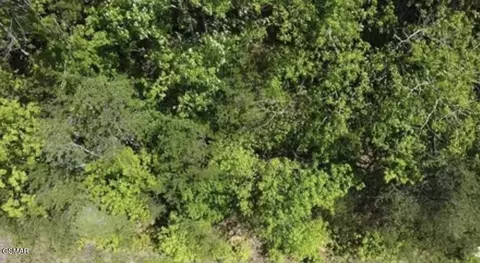 81 Yellowwood Dr, Sevierville, TN 37876