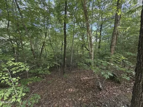 202122 Fox Hunters Ln, Sevierville, TN 37876