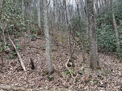 10 John Sevier Dr, Sevierville, TN 37876