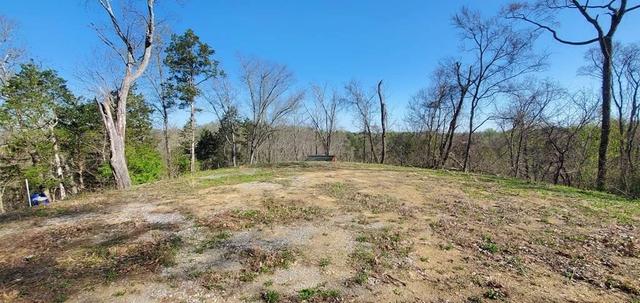 331 Chestnut Rdg, Walland, TN 37886