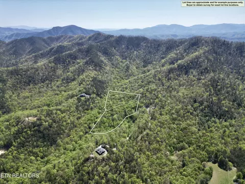 981 Critter Valley Way, Newport, TN 37821
