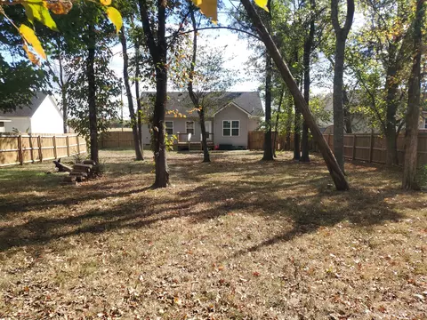 312 Spring Creek St, Chapel Hill, TN 37034