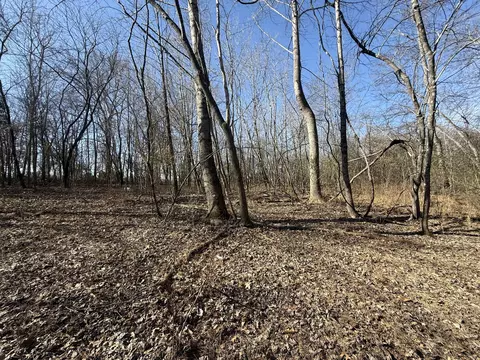 0 Epps Rd, Southside, TN 37171 photo 8