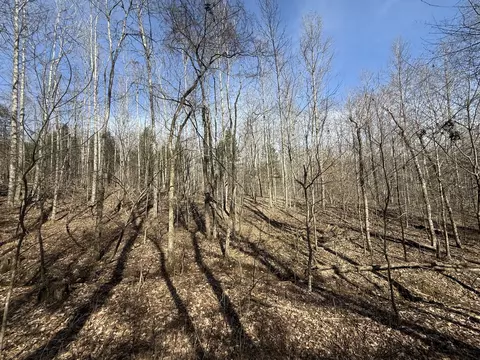 0 Epps Rd, Southside, TN 37171 photo 14