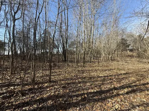 0 Epps Rd, Southside, TN 37171 photo 5