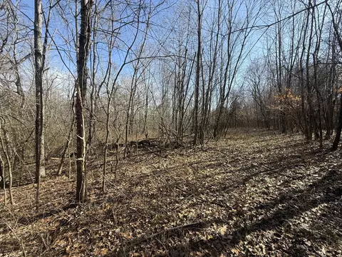 0 Epps Rd, Southside, TN 37171 photo 4