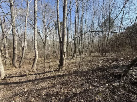 0 Epps Rd, Southside, TN 37171 photo 7