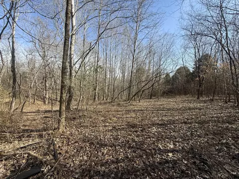 0 Epps Rd, Southside, TN 37171 photo 6