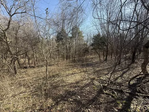 0 Epps Rd, Southside, TN 37171 photo 1