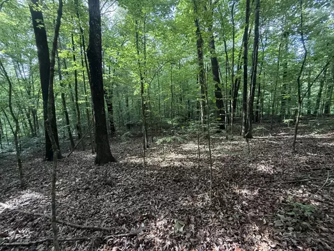 0 Caney Creek Rd, Stewart, TN 37175