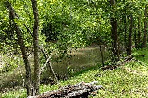 0 Billy Wynn Rd, Dickson, TN 37055 photo 30