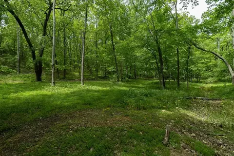 0 Billy Wynn Rd, Dickson, TN 37055 photo 4