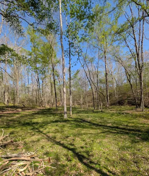 0 Billy Wynn Rd, Dickson, TN 37055 photo 7