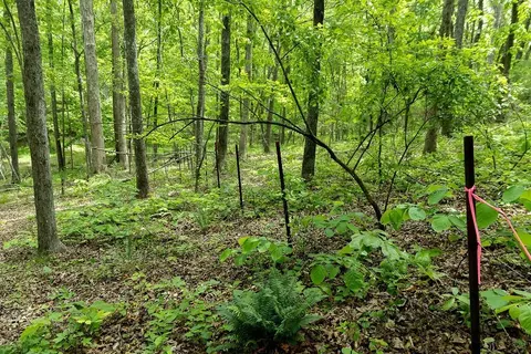 0 Billy Wynn Rd, Dickson, TN 37055 photo 26
