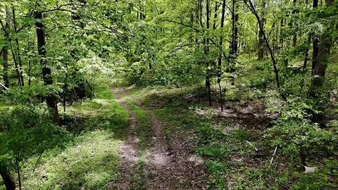 0 Billy Wynn Rd, Dickson, TN 37055 photo 23