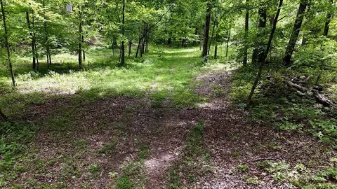 0 Billy Wynn Rd, Dickson, TN 37055 photo 39