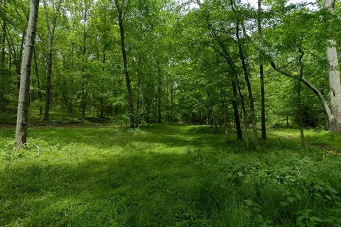 0 Billy Wynn Rd, Dickson, TN 37055 photo 15