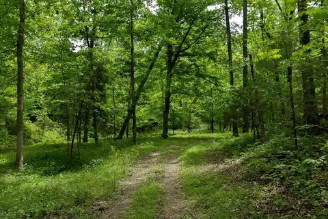0 Billy Wynn Rd, Dickson, TN 37055 photo 18