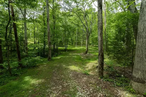 0 Billy Wynn Rd, Dickson, TN 37055 photo 28