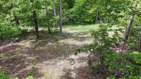 0 Billy Wynn Rd, Dickson, TN 37055 photo 20
