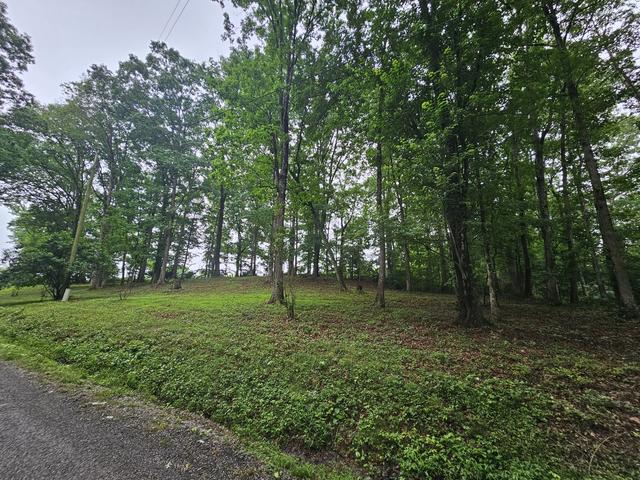 2411 Sr 56, Tracy City, TN 37387