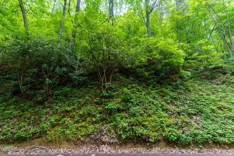 11 Zurich Rd, Gatlinburg, TN 37738