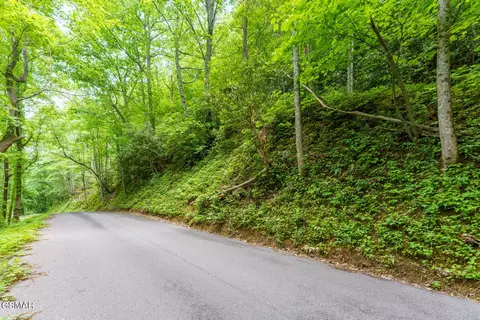 9 Zurich Rd, Gatlinburg, TN 37738