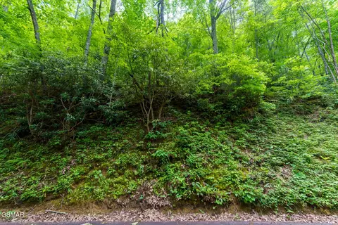 10 Zurich Rd, Gatlinburg, TN 37738