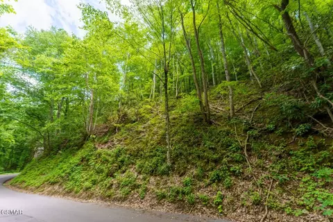 12 Zurich Rd, Gatlinburg, TN 37738