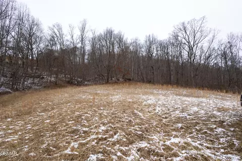 0 Little Sycamore Rd, Tazewell, TN 37879