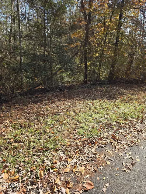 9 Montevallo Rd, Sevierville, TN 37876