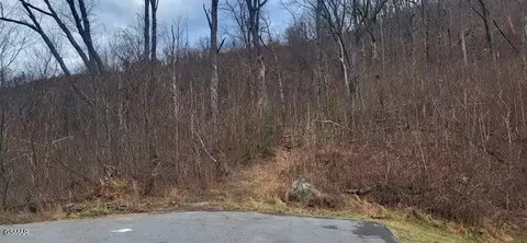703 Topside Rd, Gatlinburg, TN 37738
