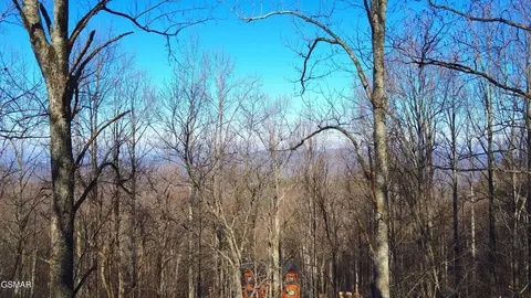 1872 Orchard Dr, Sevierville, TN 37876