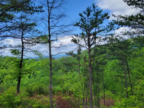 86 Shields Ter, Sevierville, TN 37876