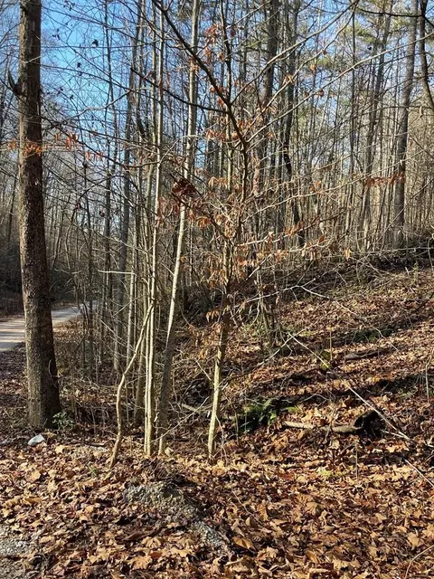 0 Hurley Way, Dandridge, TN 37725