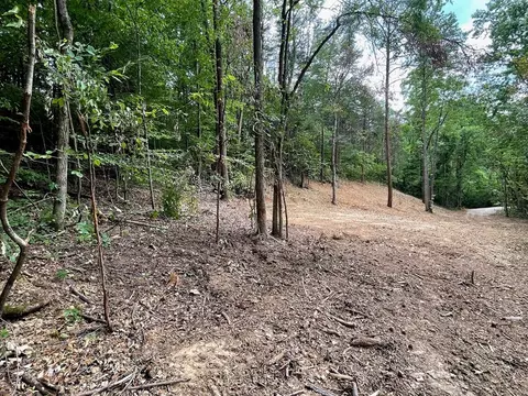 2575 Windfall Ests, Sevierville, TN 37876 photo 21