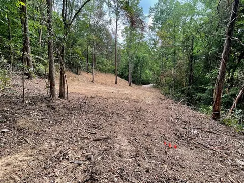 2575 Windfall Ests, Sevierville, TN 37876 photo 8