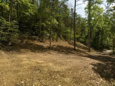 2575 Windfall Ests, Sevierville, TN 37876 photo 38