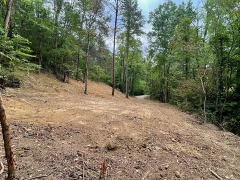 2575 Windfall Ests, Sevierville, TN 37876 photo 15