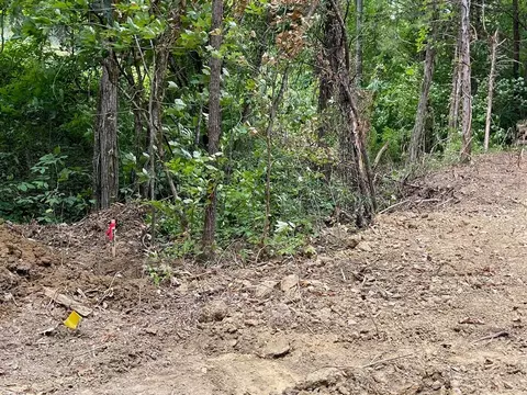 2575 Windfall Ests, Sevierville, TN 37876 photo 12