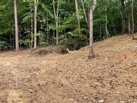 2575 Windfall Ests, Sevierville, TN 37876 photo 24