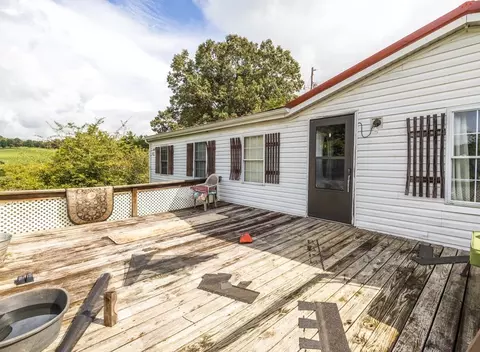 3373 Beth Carr Rd, White Pine, TN 37890 photo 15