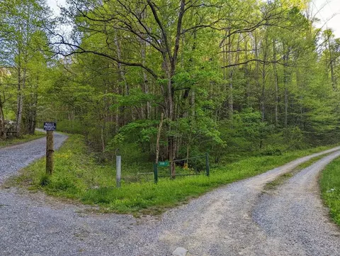 15 Goldfinch Ln, Cosby, TN 37722