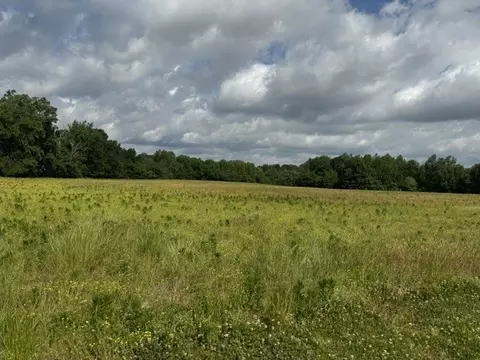 0 Cal Durham Rd, Bethpage, TN 37022 photo 27