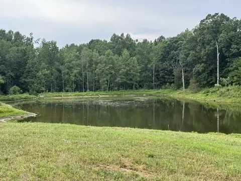 0 Cal Durham Rd, Bethpage, TN 37022 photo 8