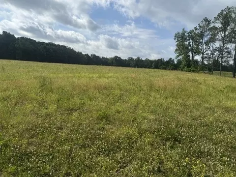 0 Cal Durham Rd, Bethpage, TN 37022 photo 5