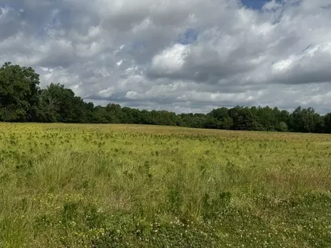0 Cal Durham Rd, Bethpage, TN 37022 photo 4