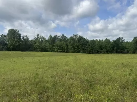 0 Cal Durham Rd, Bethpage, TN 37022 photo 23