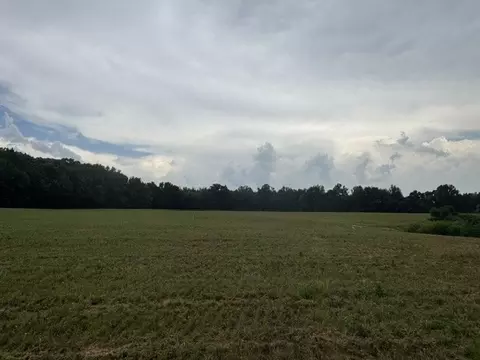 0 Cal Durham Rd, Bethpage, TN 37022 photo 20